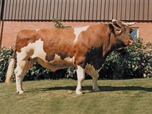 03521 J SOLNØRDAL