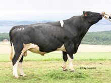05749 LØFALD