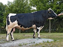 05901 TANGVOLL