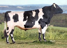 11048 Rønningen