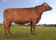 11821 Liebakken