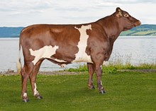 11872 Kolbu