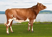 12009 Maurstad