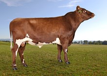 12012 Tveit
