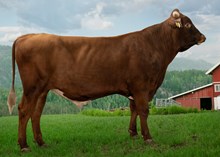 12361 NR Veastad-ET