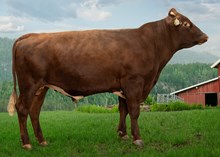 12366 NR Reisadalen
