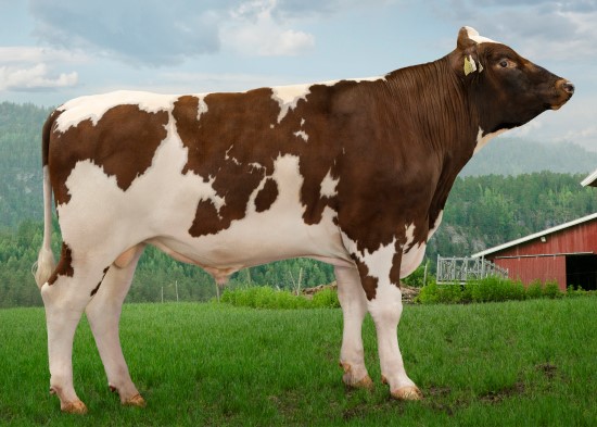 12367 Ekra-PP.jpg