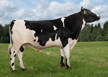 12401 NR Faaralia-ET
