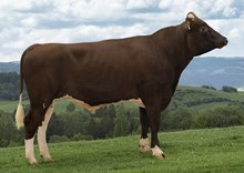 12421 NR Sjursplassen-ET