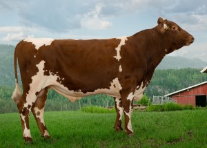 12464_NR Tynes-ET.jpg