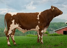 12464 NR Tynes-ET