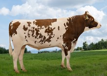 12465 NR Emsn-P-ET
