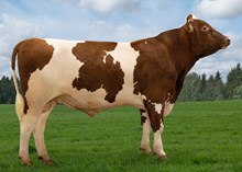 12478 NR Garvikingen-P