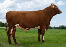 12486 NR Gunnarshaug-ET