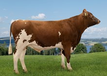 12496 NR Kvennmoen-ET