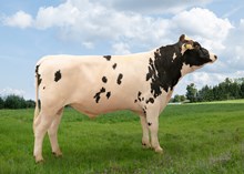 12508 NR Monstadhaug-P-ET