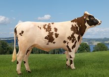 12514 NR Lendeberget-PP