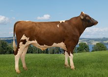 12518 NR Jonstuen-PP