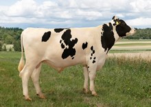 12536 NR Skoften-ET