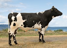 12537 NR Holm-ET
