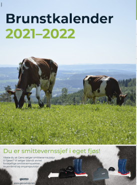 Brunstkalender 2021-2022-275-1.jpg